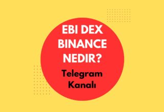 Ebi Dex Binance Nedir?