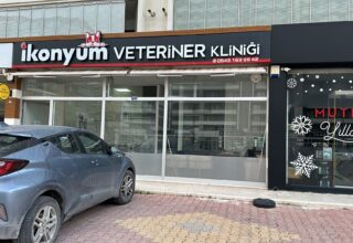 İkonyum Veteriner Kliniği: Kedinizin Sağlığı İçin Güvenilir ve Uzman Hizmetler