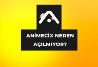 Animecix Neden Açılmıyor?